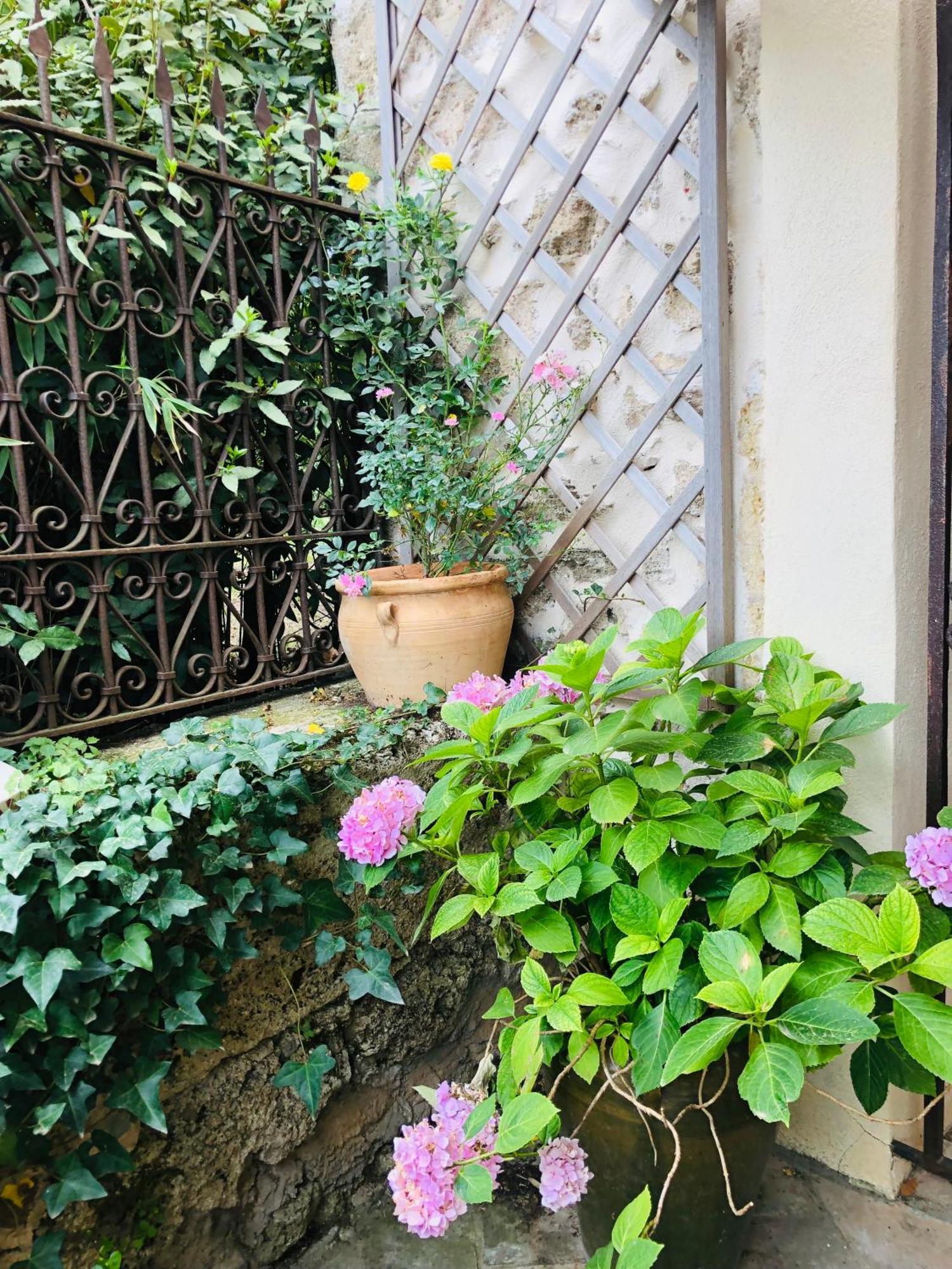 Hotel Au Bout Du Pre Pézenas Exteriér fotografie